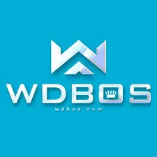 WDBOS - Petualangan Epik dalam Dunia MMORPG